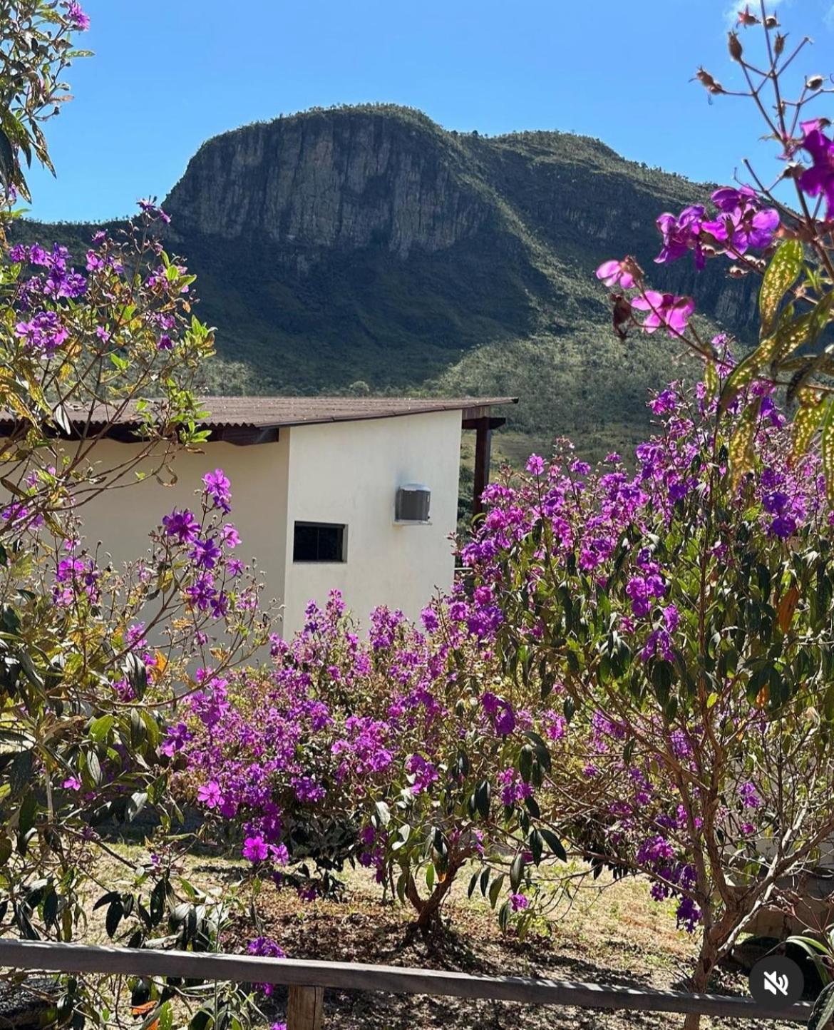 Pousada Rancho dos Ipês Alto Paraíso de Goiás Extérieur photo